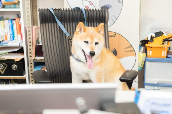 取材を受ける梅吉