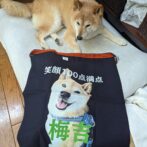 マスコット犬「梅吉」柄の前掛け