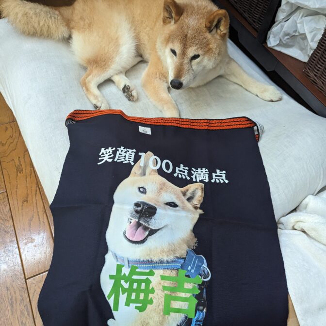 マスコット犬「梅吉」柄の前掛け