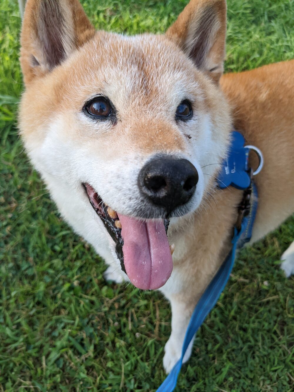 笑顔の梅吉広報部長