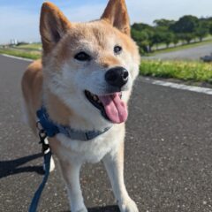 梅吉、ありがとう。また一緒に笑い合おうね。