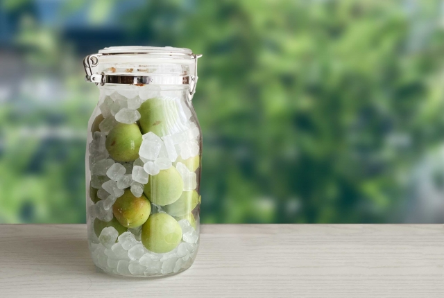 南高梅で梅シロップ作り