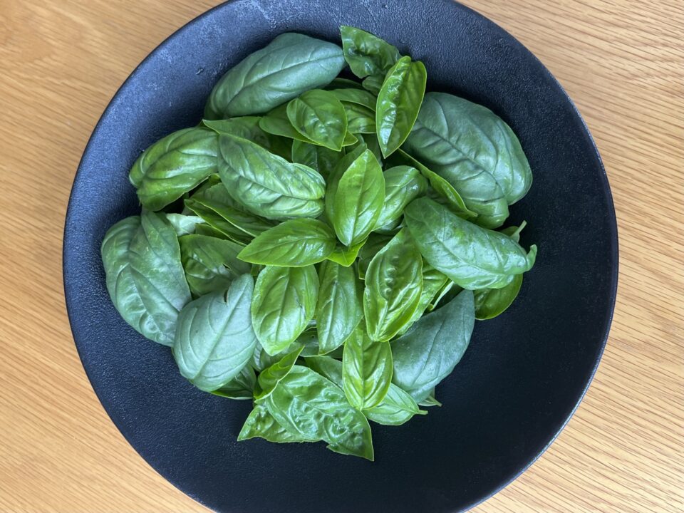 バジル