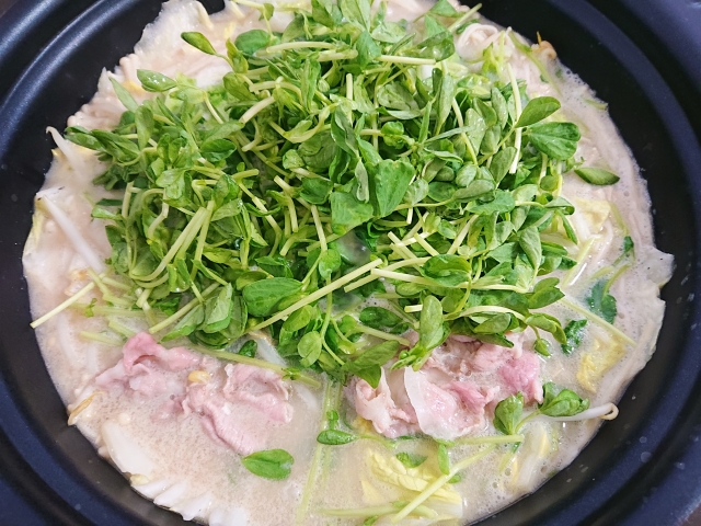 豚肉と豆苗のとんこつ鍋