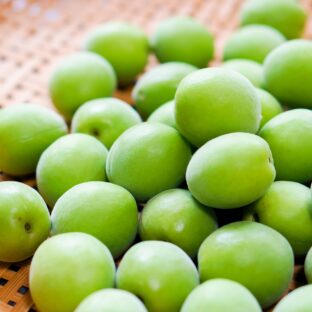 「梅は三毒を断つ」って本当?知って得する梅の力