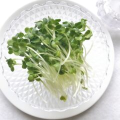 かいわれ大根の驚くべき栄養効果！免疫力アップ＆デトックスにも◎