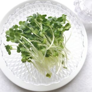 かいわれ大根の驚くべき栄養効果！免疫力アップ＆デトックスにも◎