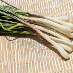 エシャロットの硫化アリルで美と健康を手に入れよう！