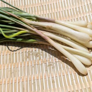 エシャロットの硫化アリルで美と健康を手に入れよう！