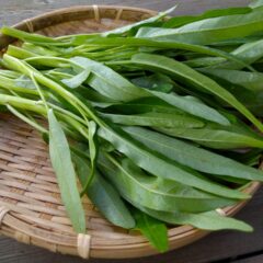 空心菜は骨の味方！実は女性に多い骨粗しょう症を防ぐビタミンKとは？